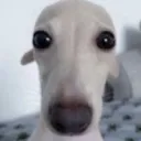abababa