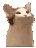 catnom