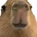 URR_GortFlabbergasted
