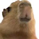 URR_GortSniff URR_GortSniff
