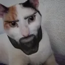 basedgigacat