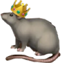 RAT_W