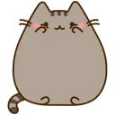 pusheenshy