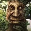 wiseoak