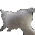 cat_catfunnydance