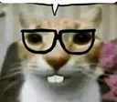 oknerd