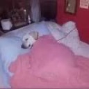 sleep Discord emoji