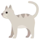 white_cat