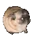 DogJamming
