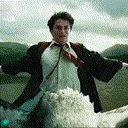 HPwoohoo