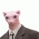 B_MR_CAT Discord emoji