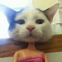 Barbie Cat Discord Emoji