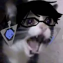 YellBayocat