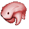 AngyBearWalk