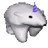 BirthdayBear