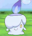 shinylitwick