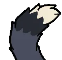 LyTailWag LyTailWag