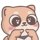 shiba_shy