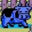 bluecow