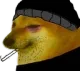 itz_pinik