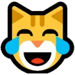 joycat2