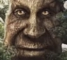 :WISEMYSTICALTREE: :WISEMYSTICALTREE:
