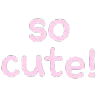 socute socute