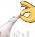 Shut