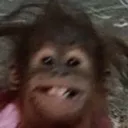 monkeyhehe