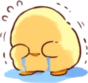 chickcry
