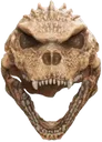 skullgoji