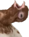 aaaaa