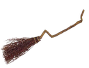 witchbroom
