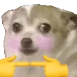 DoogShy