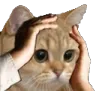 merde