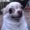 B_hmm2 Discord Emoji