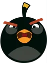 BombWhat