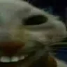 xdd2