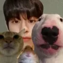 seungmindog
