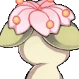 PpalLeaves