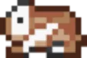 GuineaPigGreatestPetEverG