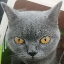 penancestare penancestare