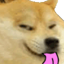 dogesmuglick Discord emoji