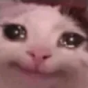 cat_sad