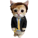 saulgato