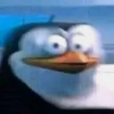 Skipperwtf Skipperwtf