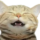 sillyhappy