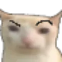 ayo ayo