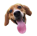 lulu_transparent Discord Emoji