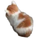 Sad Cat sad_cat Discord Emoji